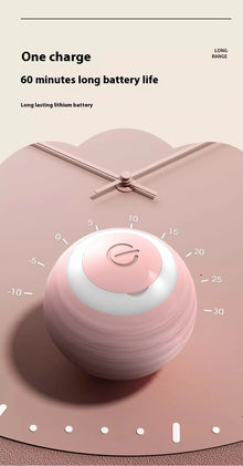 Smart Interactive Dog Toy Ball