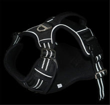 Durable Waterproof Pet Harness with Vertical Handle